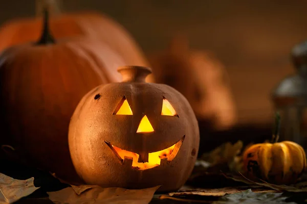 halloween pumpkin jack-o-lantern close up