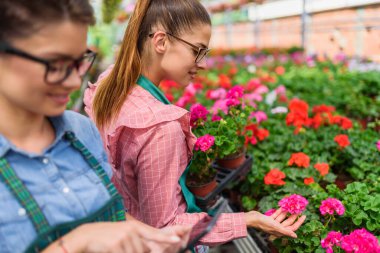 Serada tablet kullanan genç kadınlar 