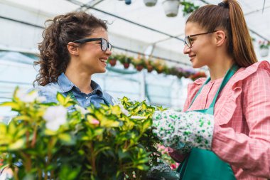 Çiçekçide çalışan genç ve güzel kadın bahçıvanlar.