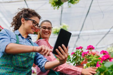 Serada tablet kullanan genç kadınlar 