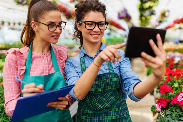 Stock image young women using tablet in greenhouse 