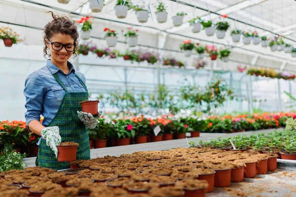 Young Beautiful Woman Working Flowers Greenhouse — Stock Photo, Image