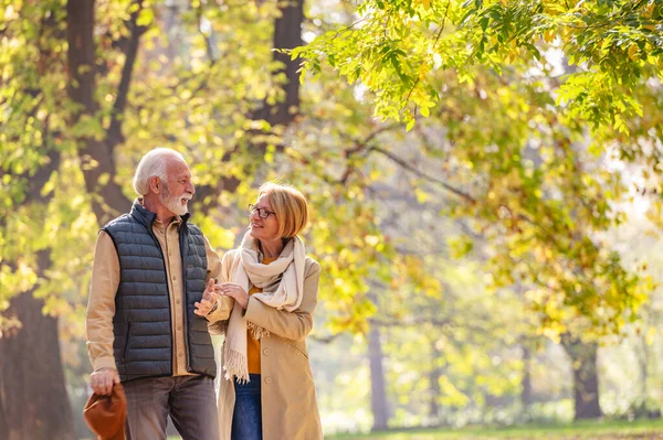 Seniorenpaar Spaziert Herbstpark — Stockfoto