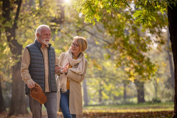 Seniorenpaar Spaziert Herbstpark — Stockfoto