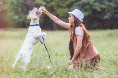 Genç bir kadın halka açık parkta şirin Labrador Retriever 'la oynuyor. Köpek en iyi arkadaş.