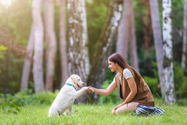 Genç bir kadın halka açık parkta şirin Labrador Retriever 'la oynuyor. Köpek en iyi arkadaş.
