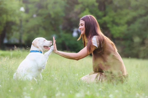 Ung Kvinna Leker Med Söta Labrador Retriever Allmän Park Hund — Stockfoto