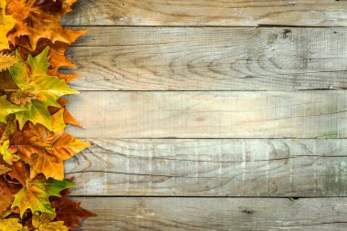 Ahşap arka planda sonbahar yaprakları