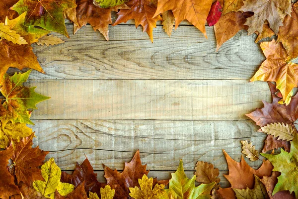Autumn Leaves Wooden Background — Stock Photo, Image