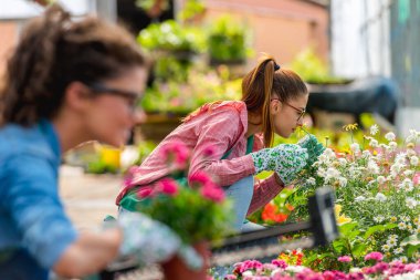 Serada çalışan genç kadınlar 