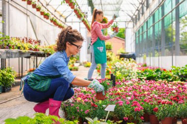 Serada çalışan genç kadınlar 
