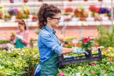 Serada çalışan genç kadınlar 