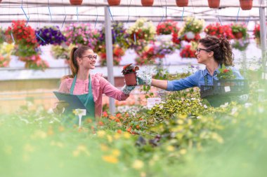 Serada çalışan genç kadınlar 