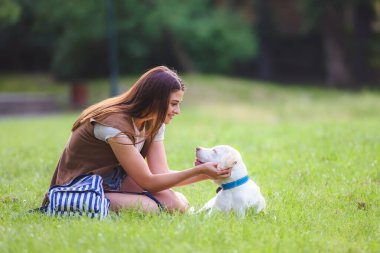 Güzel kız parkta labrador köpeğiyle eğleniyor.