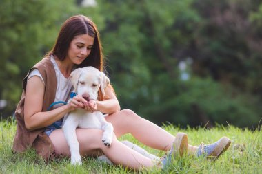 Güzel kız parkta labrador köpeğiyle eğleniyor.