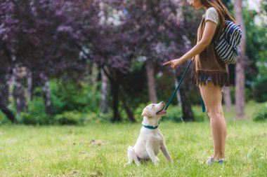 Güzel bir kadın köpeğini dışarıda eğitiyor.