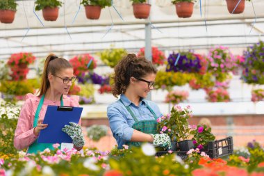 Serada çalışan güzel kadın çiçekçiler.