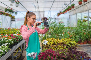 Elinde çiçekle kadın bahçıvan.