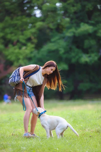 公園でラブラドールの子犬と遊ぶ美しい女の子 — ストック写真