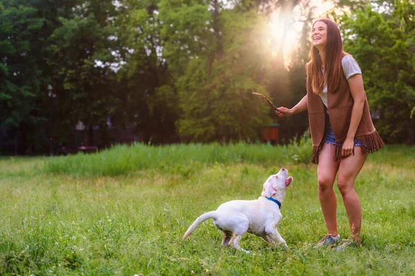 Schöne Frau Trainiert Ihren Hund Freien — Stockfoto