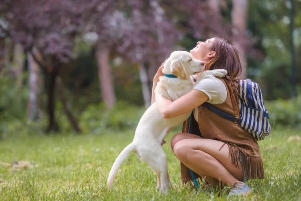 Ung Kvinna Med Sin Hund Parken — Stockfoto