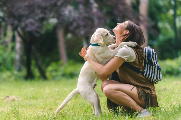 stock image young woman with her dog in the park 