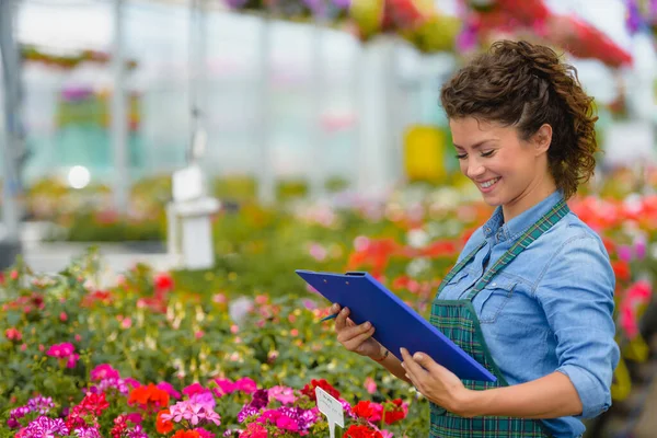 stock image young woman gardener working in the greenhouse