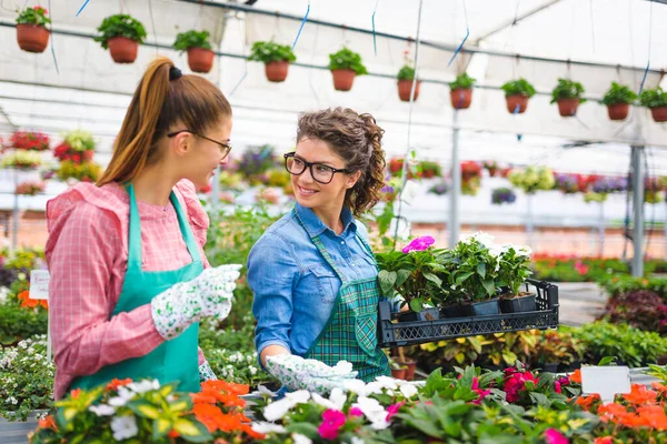 Serada çalışan güzel kadın çiçekçiler.