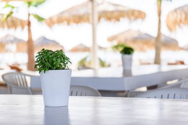 Kumsalda sandalyeli ve masalı boş bir masa.