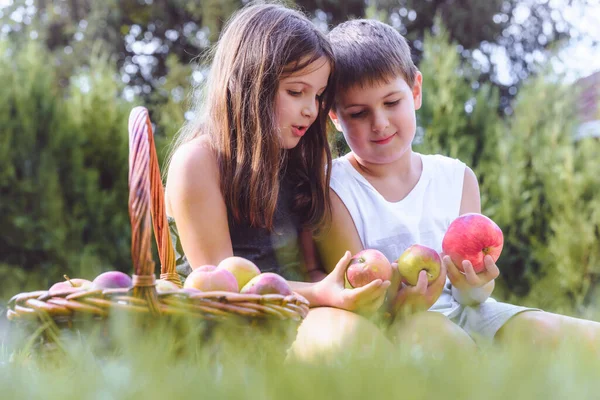Brother Sister Posing Basket Full Apples — Stock Photo, Image