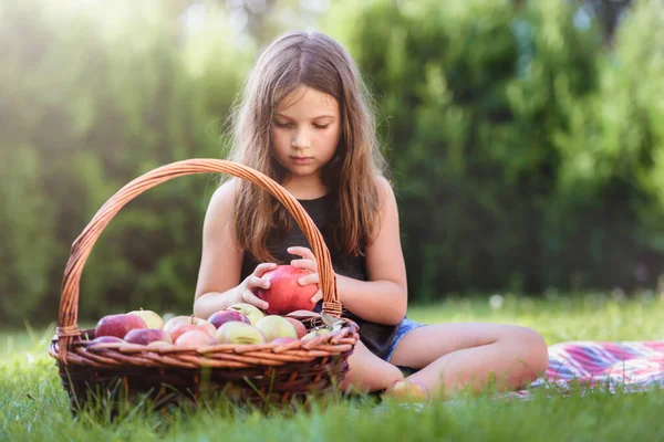 Elma Dolu Sepeti Olan Küçük Güzel Bir Kız — Stok fotoğraf