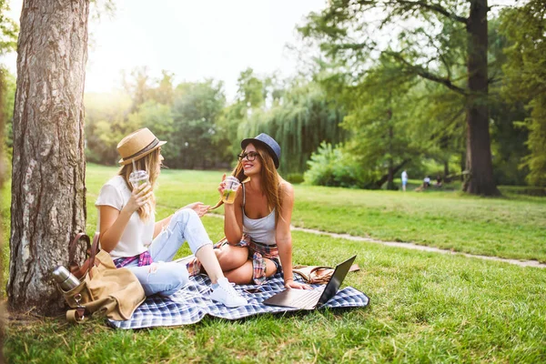 毛布の上で話して公園に座っている女の子の友人 レモネードを飲む — ストック写真
