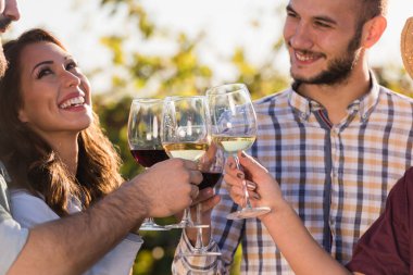 Arkadaşlar şarap içip üzüm bağında piknik yapıyorlar.