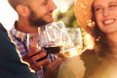 Arkadaşlar şarap içip üzüm bağında piknik yapıyorlar.