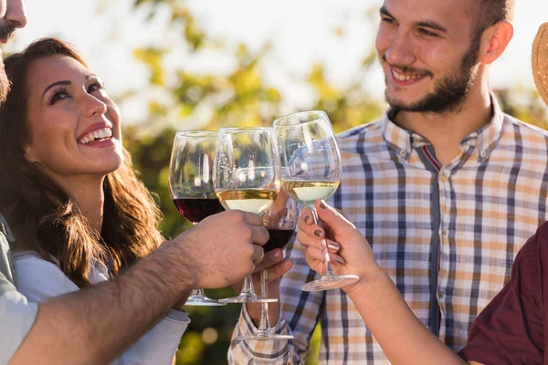 Arkadaşlar şarap içip üzüm bağında piknik yapıyorlar.