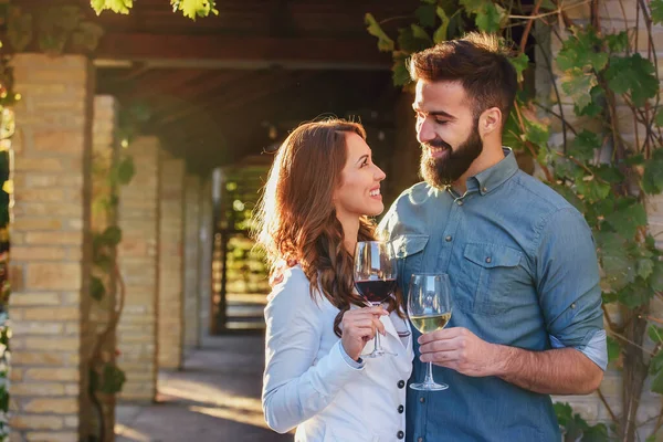 stock image young couple drinking wine in the vineyard 