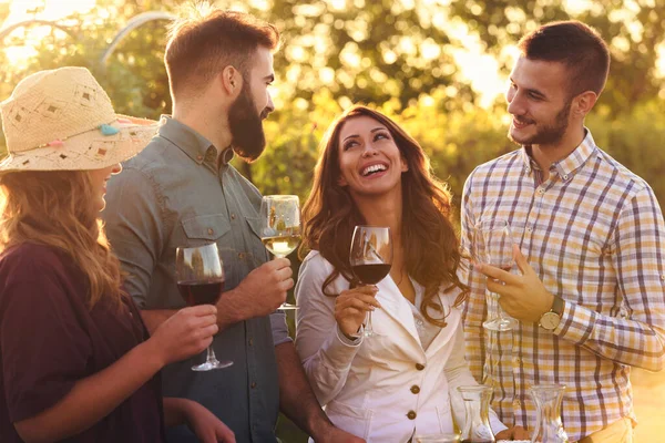 Amigos Beber Vinho Desfrutar Piquenique Vinha — Fotografia de Stock