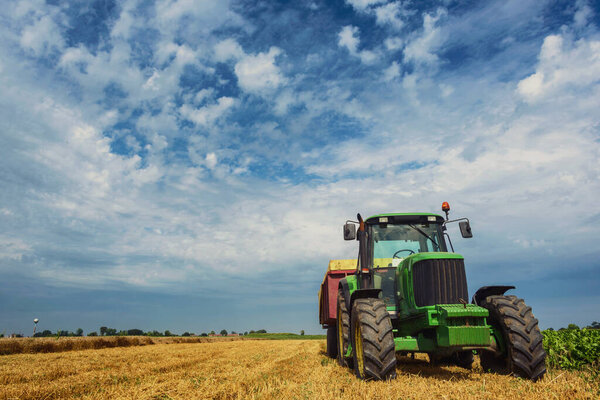 фермер, работающий под пшеничным полем. сбор урожая.