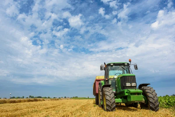 Buğday Tarlasında Çalışan Çiftçi Hasat Ediliyor — Stok fotoğraf