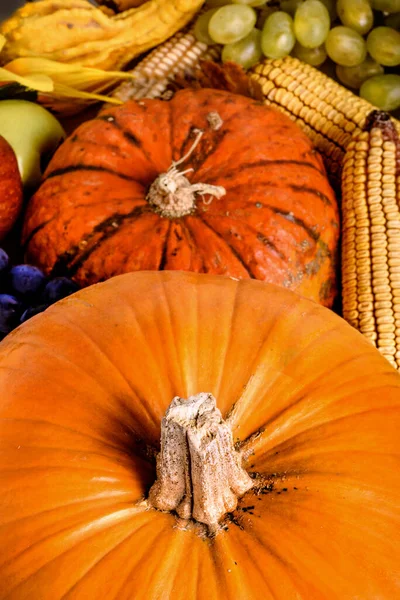 果物や野菜と感謝祭のシンボル — ストック写真