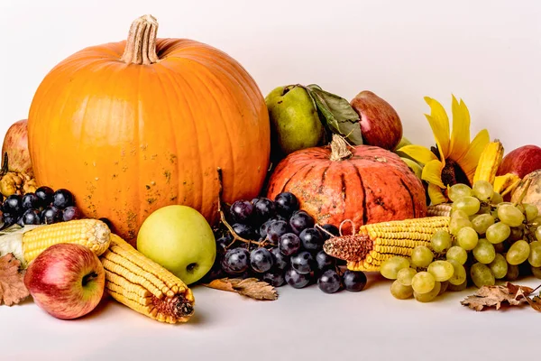 果物や野菜と感謝祭のシンボル — ストック写真