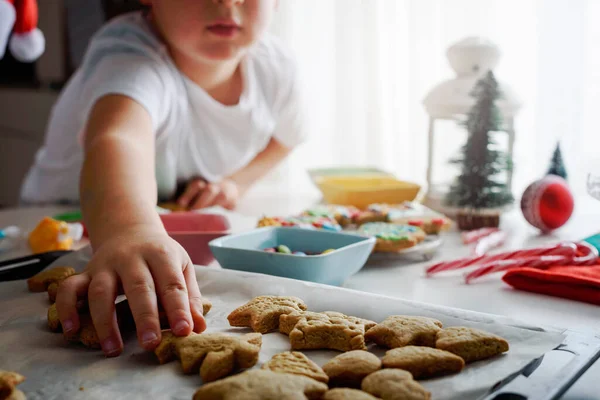 Mutfakta Noel Kurabiyesi Olan Küçük Çocuk — Stok fotoğraf