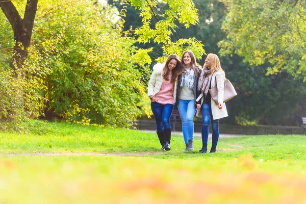 Красивые Девушки Осеннем Парке — стоковое фото