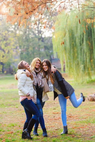 秋の公園の美しい女の子たち — ストック写真
