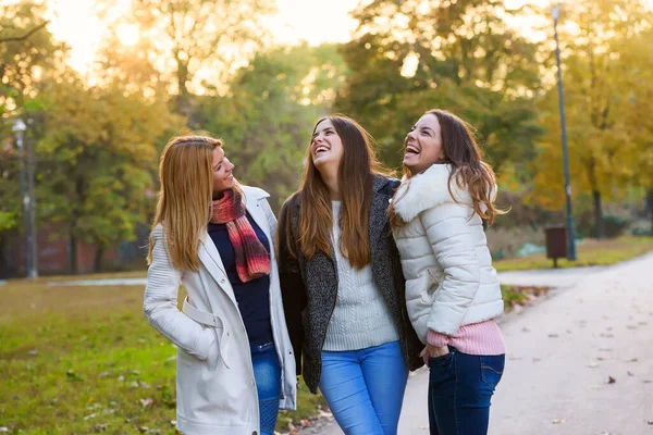 Gruppe Lächelnder College Mädchen Spaziert Durch Den Park Freundschaft — Stockfoto