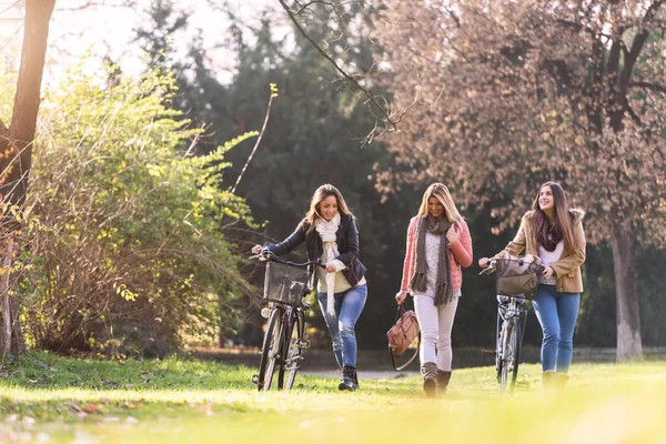 Ομάδα Χαμογελαστές Φοιτήτριες Ποδήλατα Περπατώντας Στο Πάρκο Φιλία — Φωτογραφία Αρχείου