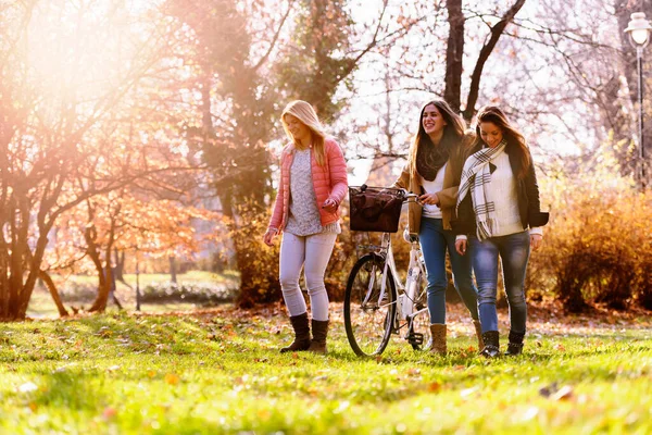 公園を自転車で歩く笑顔の大学生の女の子のグループ — ストック写真
