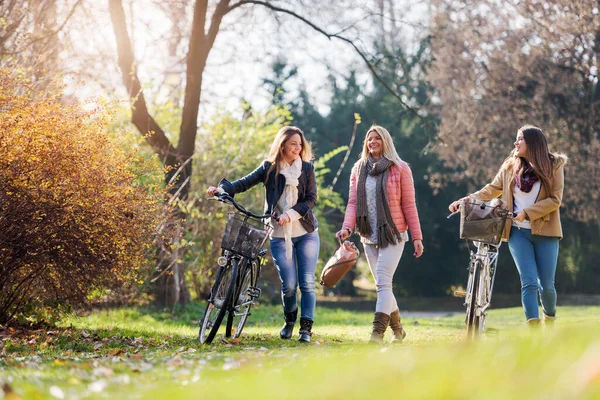 Группа Улыбающихся Студенток Велосипедами Прогуливающихся Парку Дружба — стоковое фото