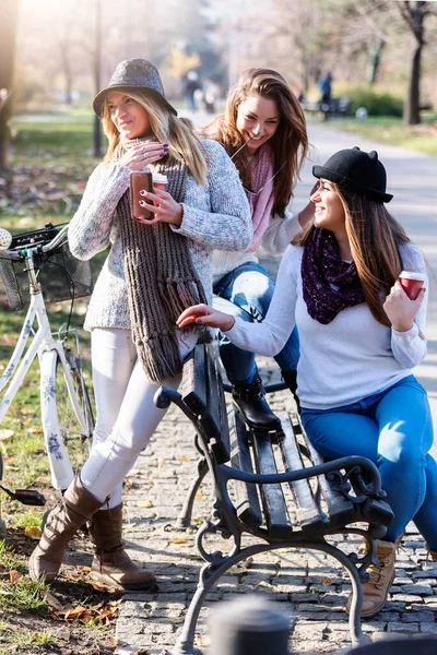 Gruppe Lächelnder College Mädchen Auf Parkbank — Stockfoto