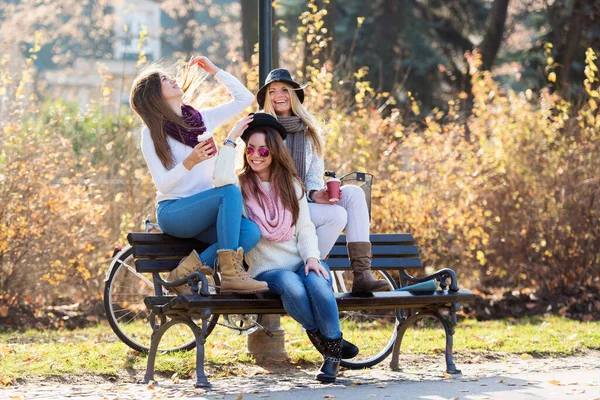 公園のベンチで笑顔の大学生の女の子のグループ — ストック写真